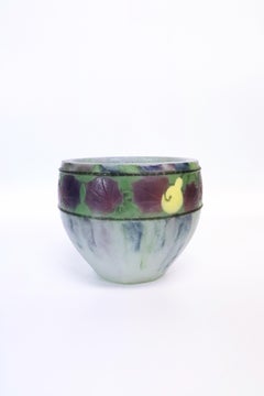 Ciotola Courde (zucca)