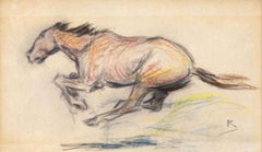 Estudio del caballo corredor