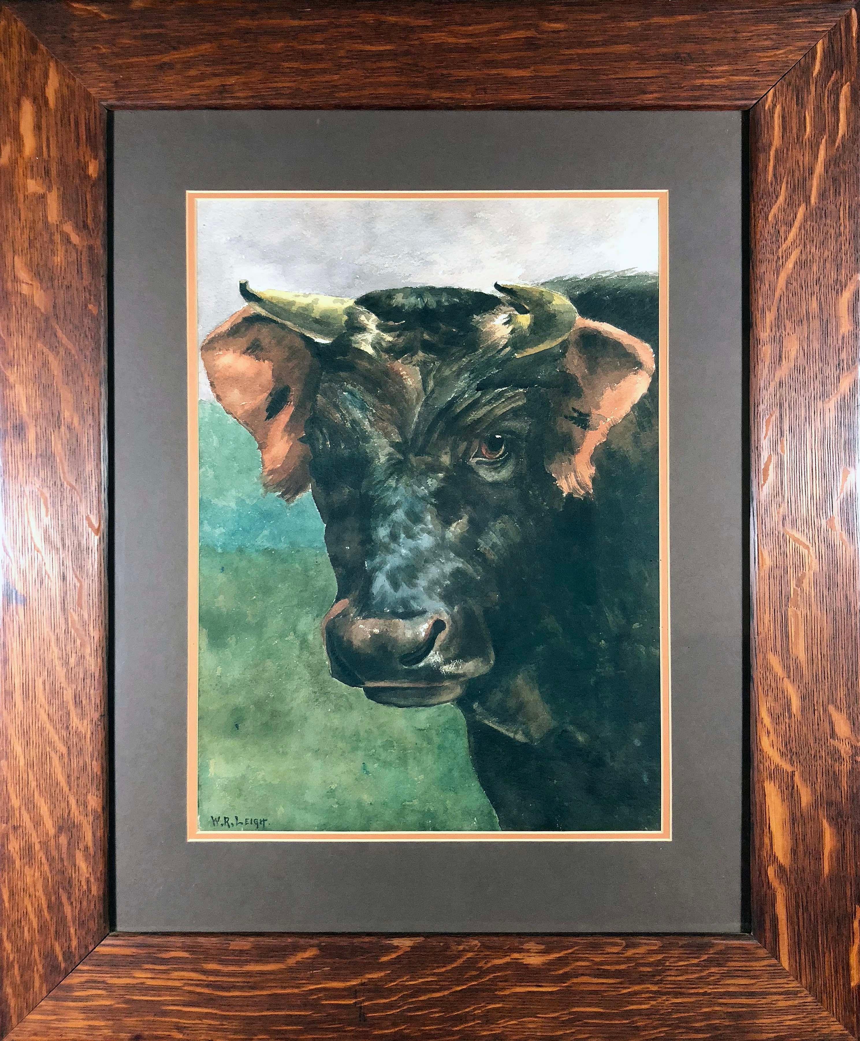 Bull - Art by William Robinson Leigh