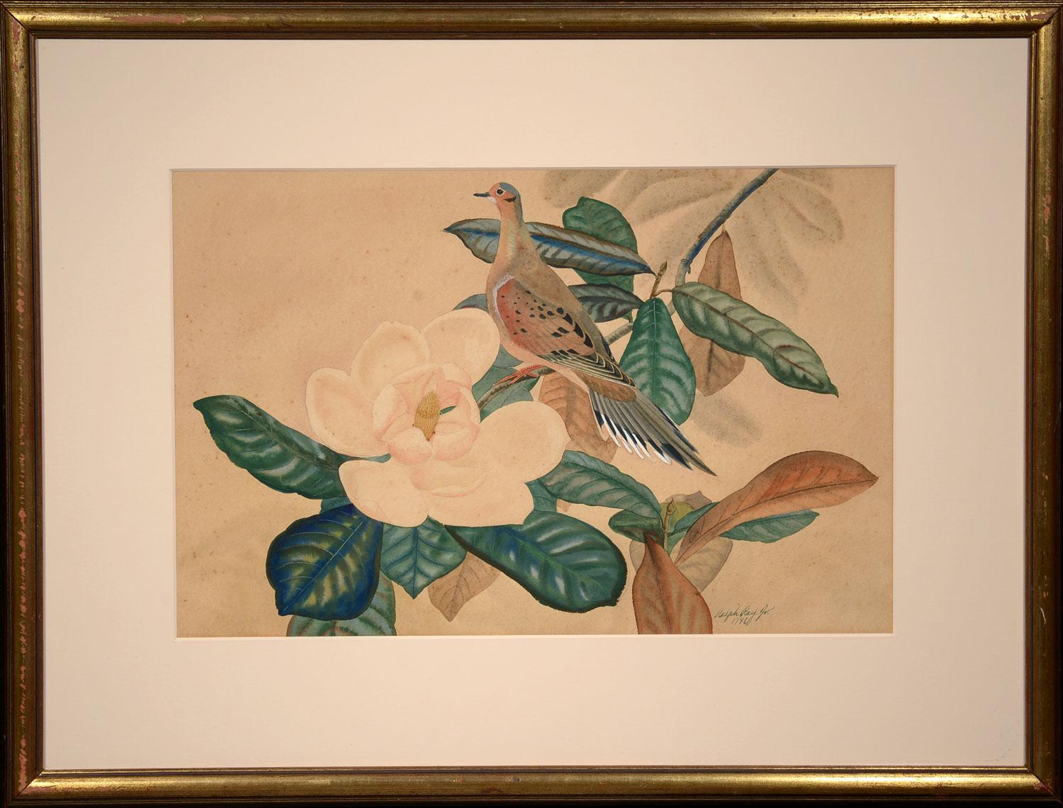 Mourning Dove, 1946, Ralph Ray, Jr, realist/modern, watercolor, gouache - Art by Ralph Ray, Jr.