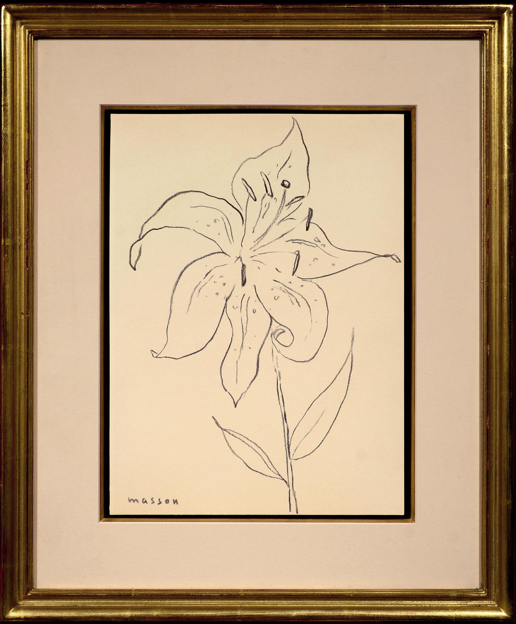 Tiger Lily - Art by André Masson