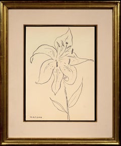 Tiger Lily