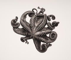 Octupus Vulgaris, Platinum Print, Photography, Contemporary, 21st Century