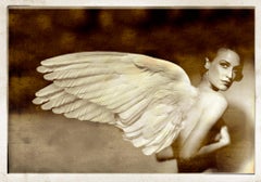Untitled Angel 20