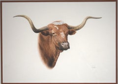 "Texas Longhorn"  Fantastic Colored Pencil Drawing.