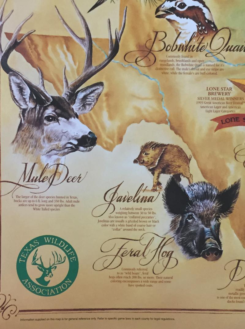 Lone Star Beer Wild Game Print, TEXAS White Tail Deer, Mule Deer, Hogs Hunting For Sale 1