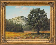 "Mexican Hats & Coreopsis"  Texas Hill Country Wildflowers