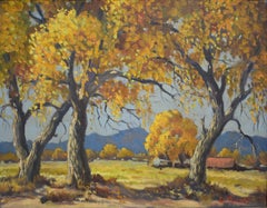 "Boschi di cotone a Peralta" Nuovo Messico     Scena d'autunno