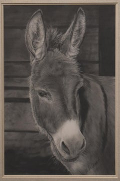 "HONKY DONKIN" DONKEY GRAPHITE PENCIL DRAWING BURRO FRAMED 22 X 17 #2 PENCIL