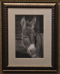 "HONKY DONKIN" DONKEY GRAPHITE PENCIL DRAWING BURRO FRAMED 22 X 17 #2 PENCIL