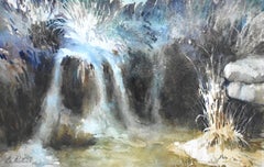 "SPRINGS FLOWING" CANYON LAKE TEXAS