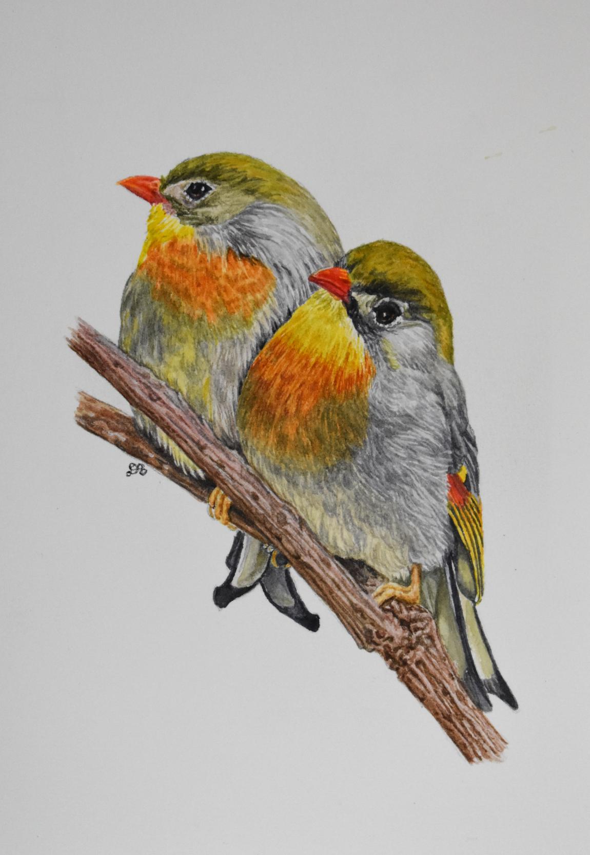 „RED ROBINS“ BIRDS – Art von Dianna Aldana