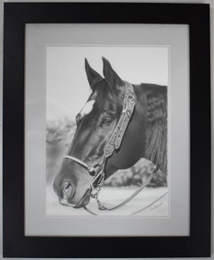 MORE THAN PRETTY" GRAPHITE PENCIL DRAWING HORSE FRAMED 30X24