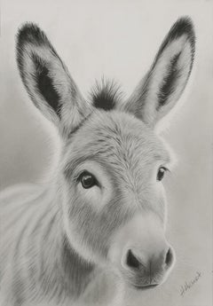 "BABY DONKEY" GRAPHITE #2 PENCIL DRAWING STUNNING, HEHAW!