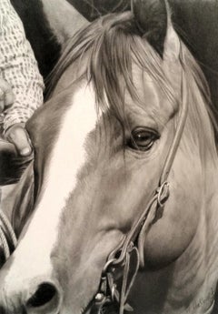 "BLAZE" HORSE GRAPHITE #2 PENCIL DRAWING INCREDIBLE