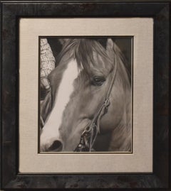 "BLAZE" CHEVAL GRAPHITE #2 DESSIN AU CRAYON INCROYABLE
