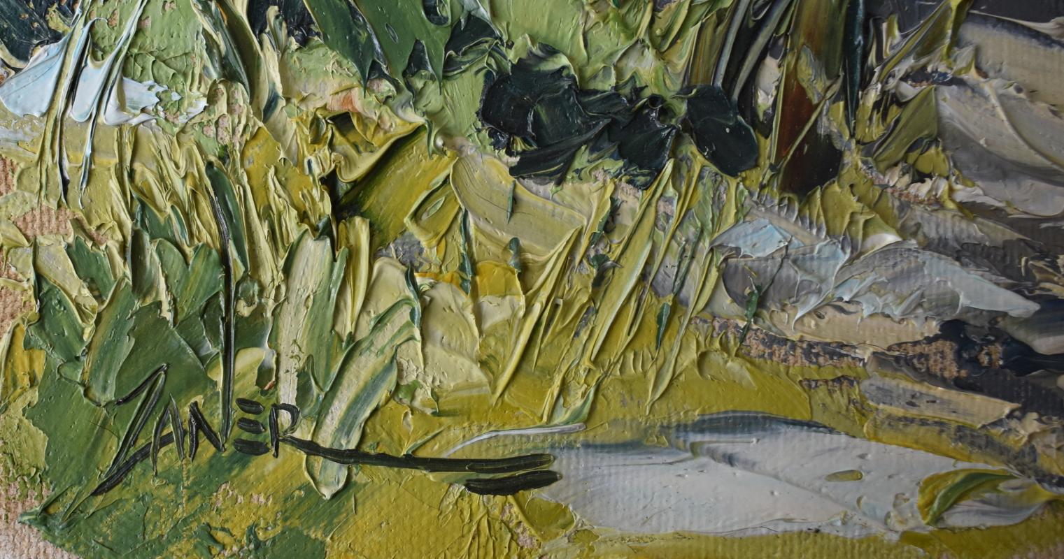 oil zaner