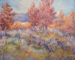 Texas "Aspens" Chisos "Cibolo Studio" Comfort Texas Red Orange Yellow Green Blue
