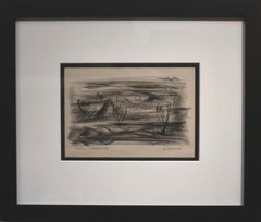 "Paisaje iluminado por la luna"  Texas