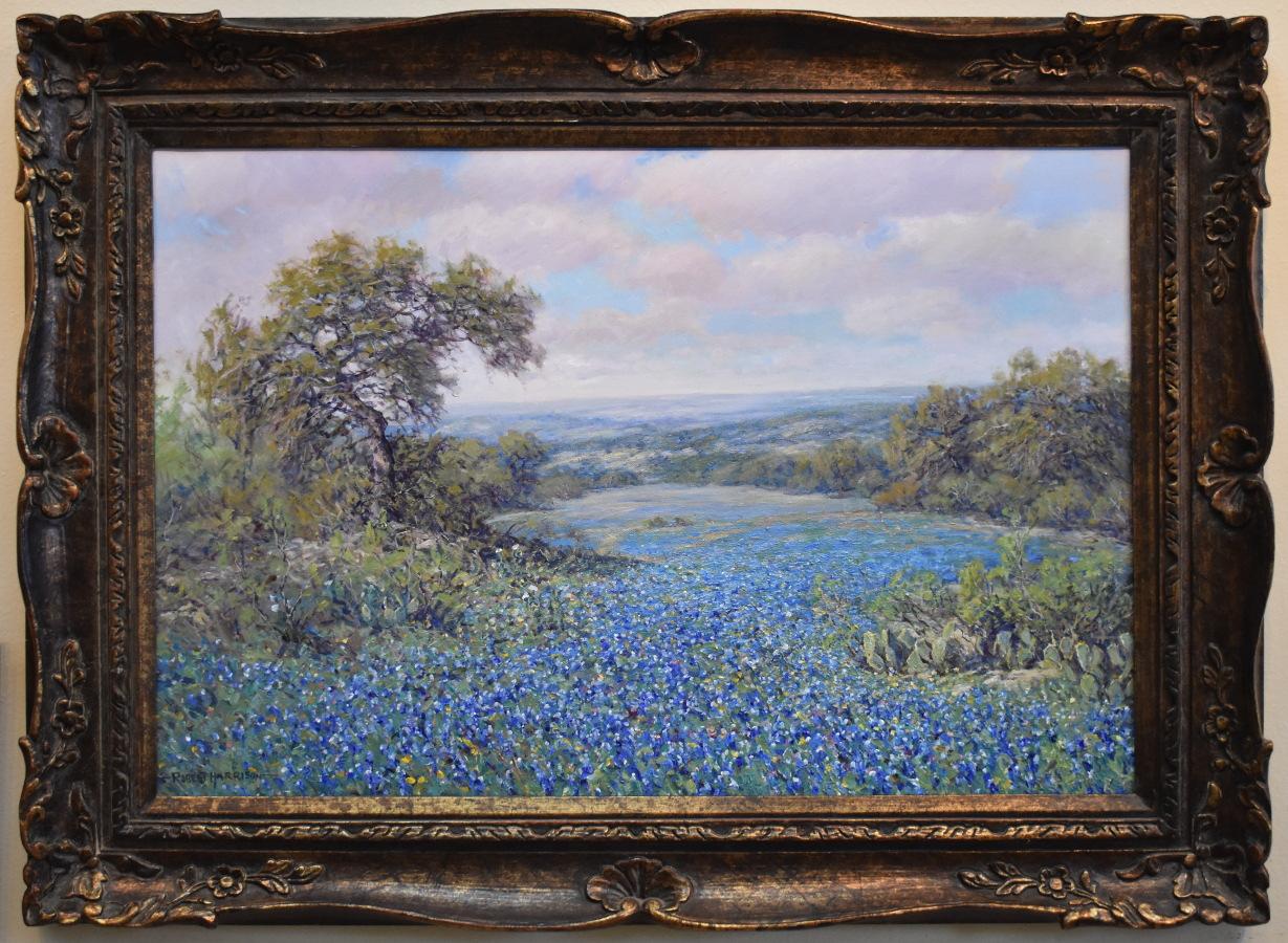 Robert Harrison Landscape Painting - "Texas Bluebonnets"  Texas Hill Country.  Texas Ranch
