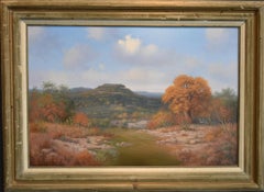 « Fall River Scene Texas Hill Country » (Scène de colline du Texas)