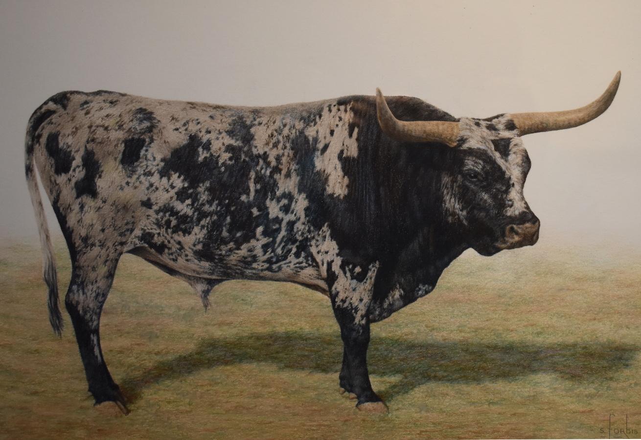 Steve Forbis Animal Art - "Blanco Y Negro Jefe" Awesome Longhorn Painting