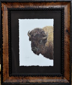 "Great Plains Heritage" Shoulder Mount Buffalo Bison Drawing