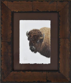 "PLAINS BOSS" BISON BUFFALO DRAWING