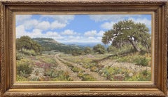 Vintage "The Rocky Trail"  Texas Hill Country.  Ranch Verbena & Coreopsis Wildflowers