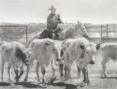 "PUSHING HORNS" IMAGE : DRAWING GRAPHITE 20 X 30