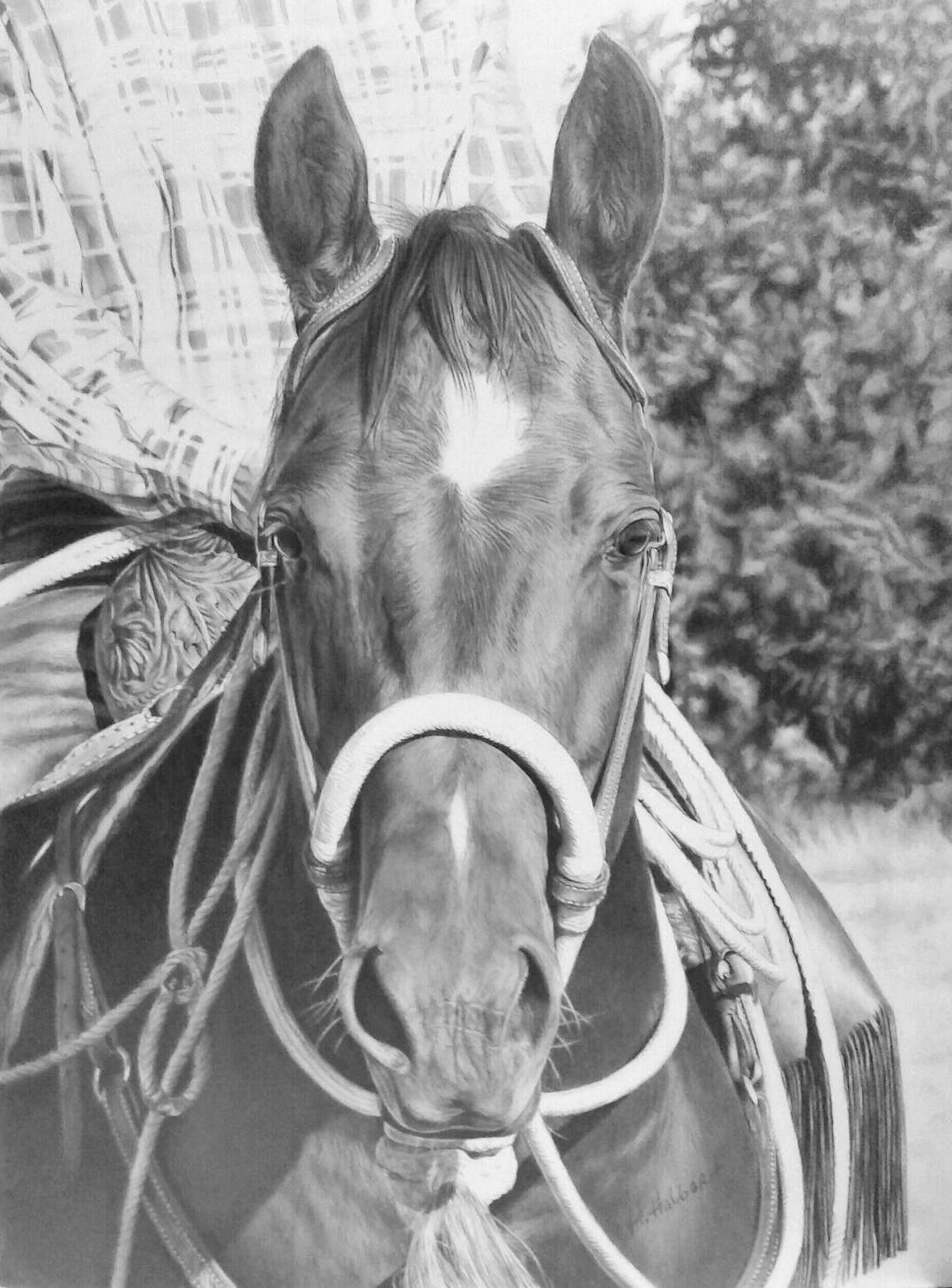 "READY AND WILLING" 16 X 12 GRAPHITE DRAWING WESTERN HORSE COWBOY