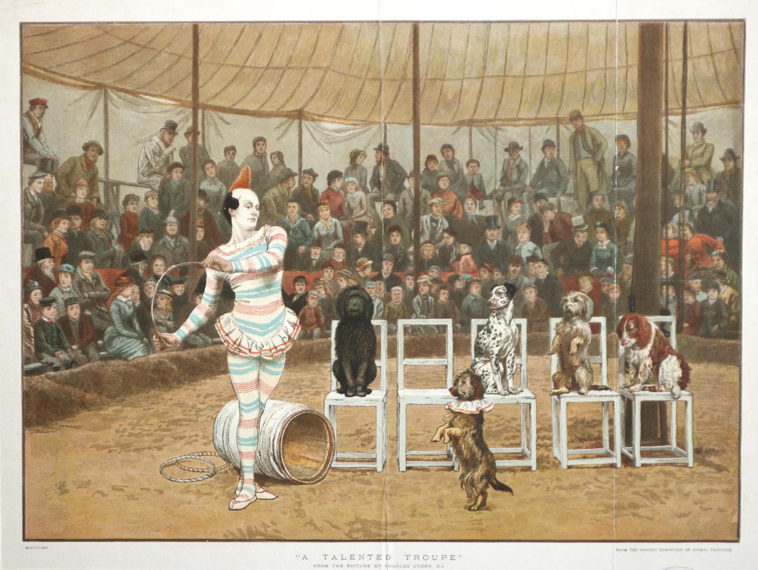 Cirque Estampes - Animaux