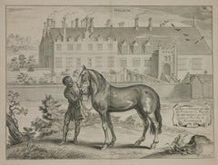 Antique Paragon un Barbe -A General System of Horsemanship ( 1658 )