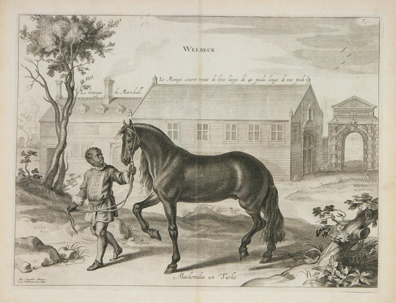 ( aft. ) Abraham van Diepenbeeck Figurative Print - Mackomilia un Turke - a General System of Horsemanship, 1658