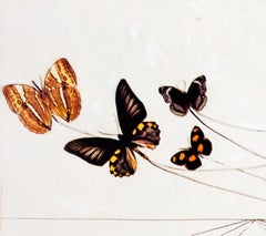 Salvador Dali American Trotting Horses No.1 rare poster for Tokyo Exhibit 1974