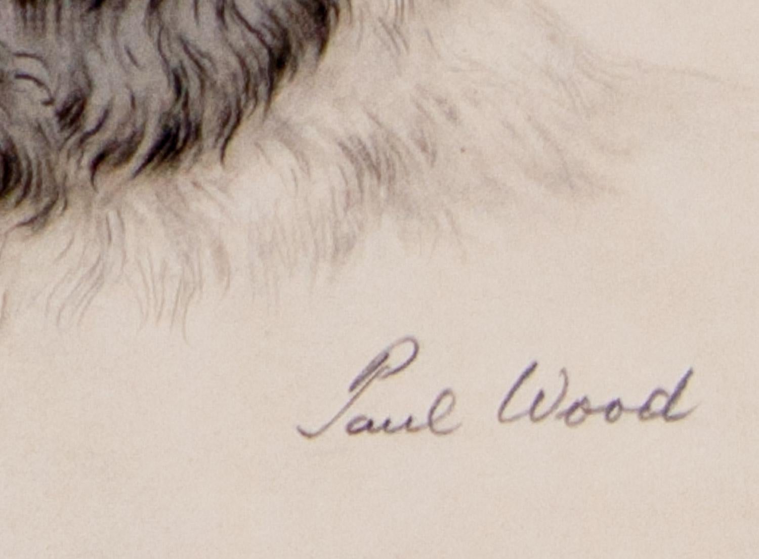       Two Cocker Spaniel Heads is an original pastel by the American artist Paul Wood and signed in pencil by the artist . This drawing was the prototype that was used to produce beautiful etchings published by the Paris Etching Society in the