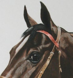 Cheval ( horse head ) – Frontal Rouge by J. Rivet original etching