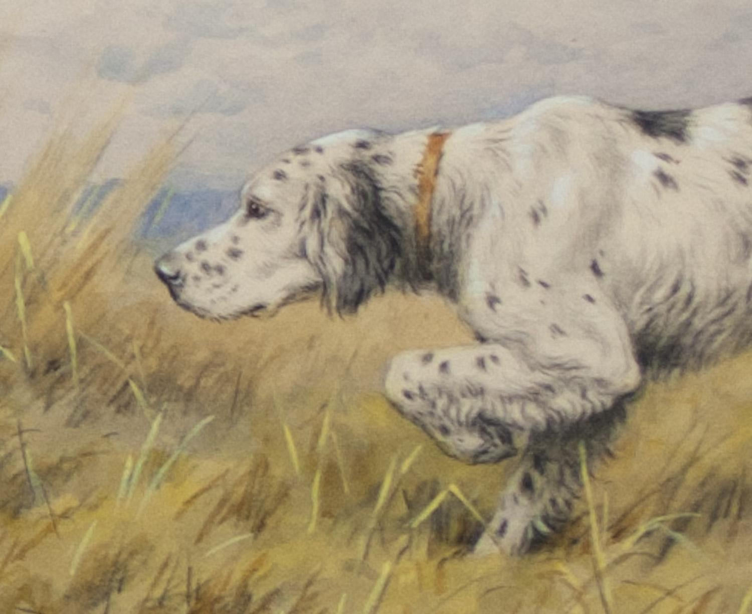 paul setter