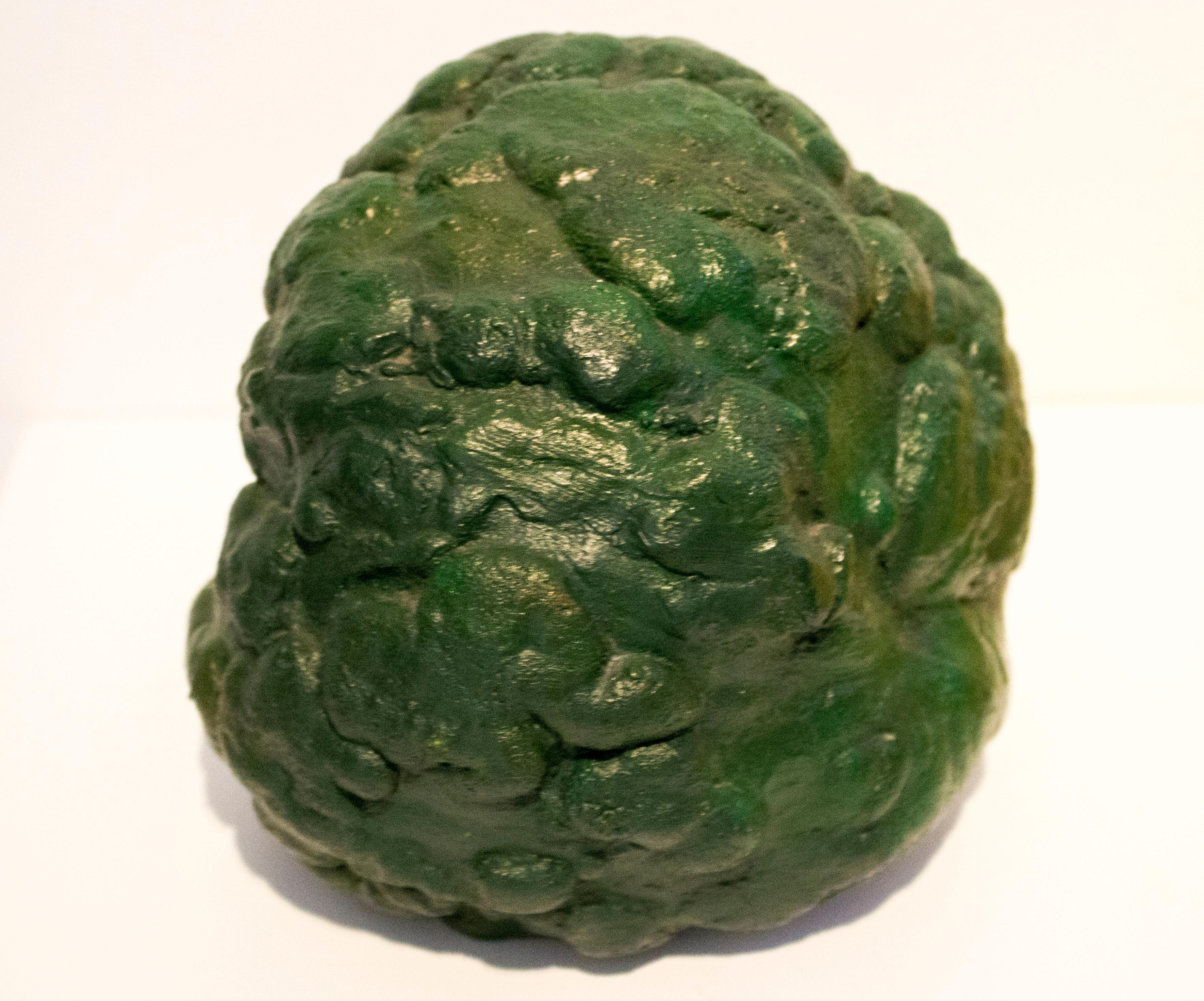 eza muerta con botella aus Schilfrohr – Sculpture von Eduardo Costa