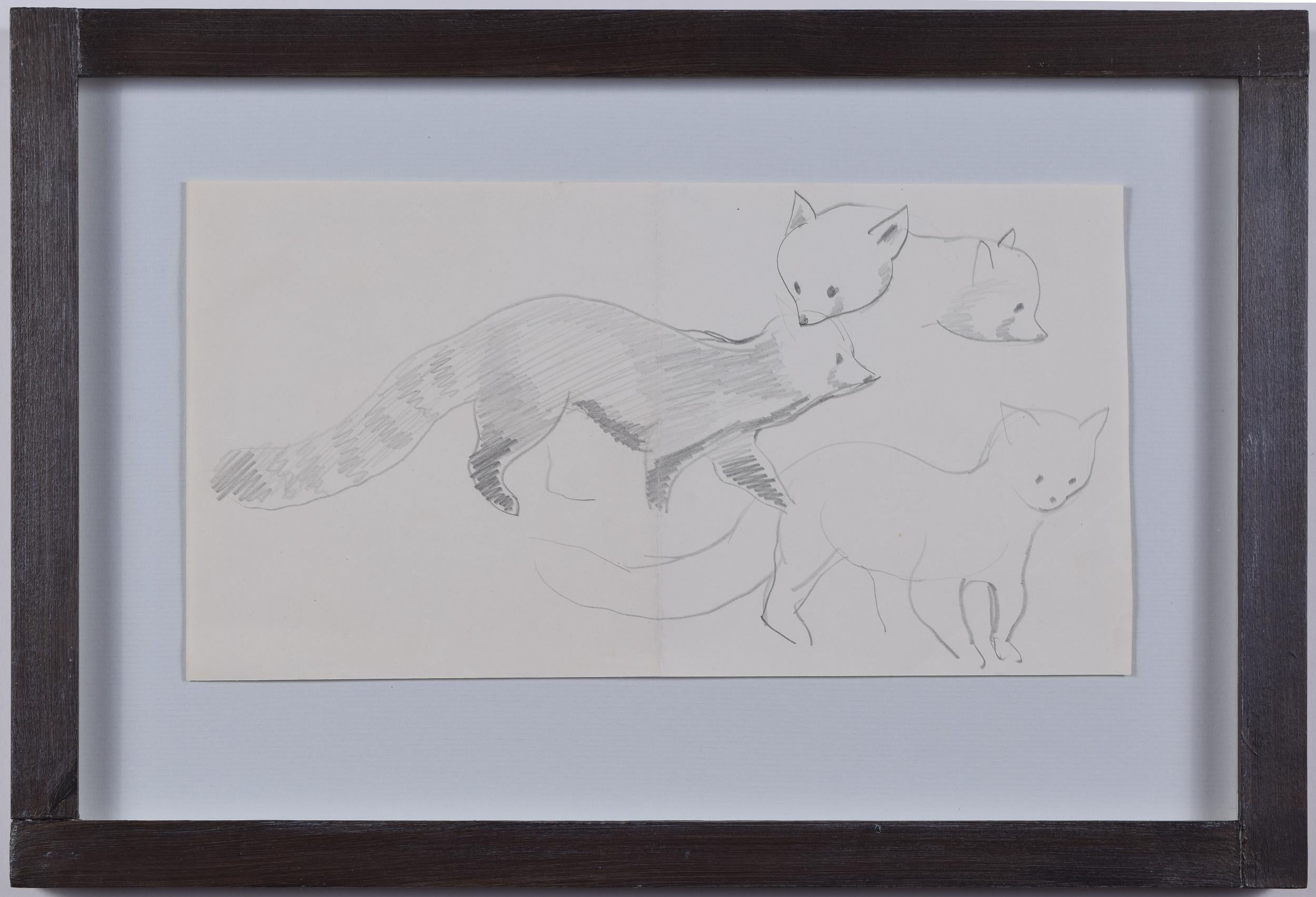 Clifford Ellis Panda roux Chico croquis au crayon Art Modern British Animal sauvage