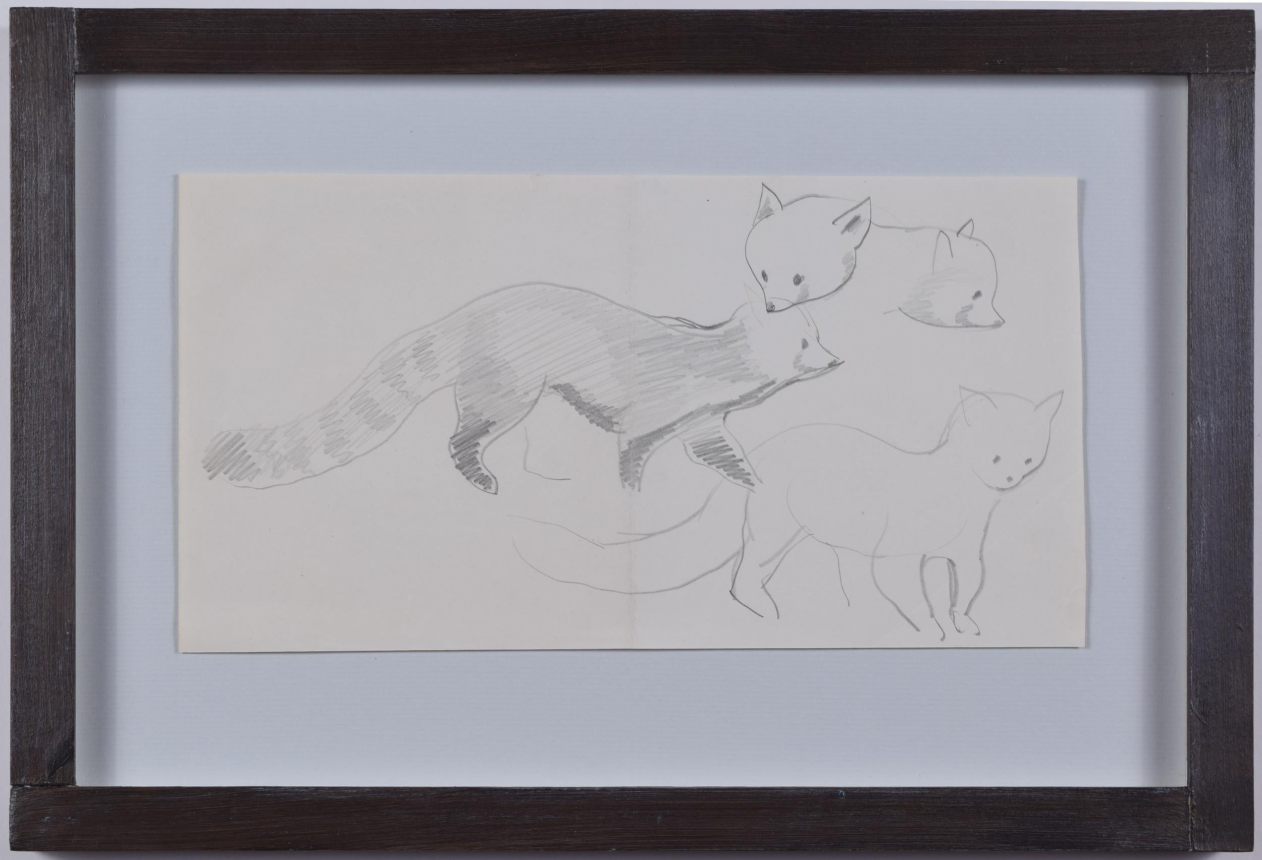 Clifford Ellis Red Panda Chico pencil sketch Modern British Art Wildlife animal