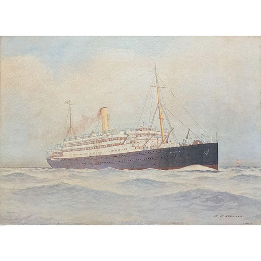 To see our other Maritime paintings, scroll down to "More from this Seller" and below it click on "See all from this Seller" and then search.

A E Morris
HMHS Asturias
Watercolour
26.5x37cm
Signed, lower right

Asturias was built in 1907 for the