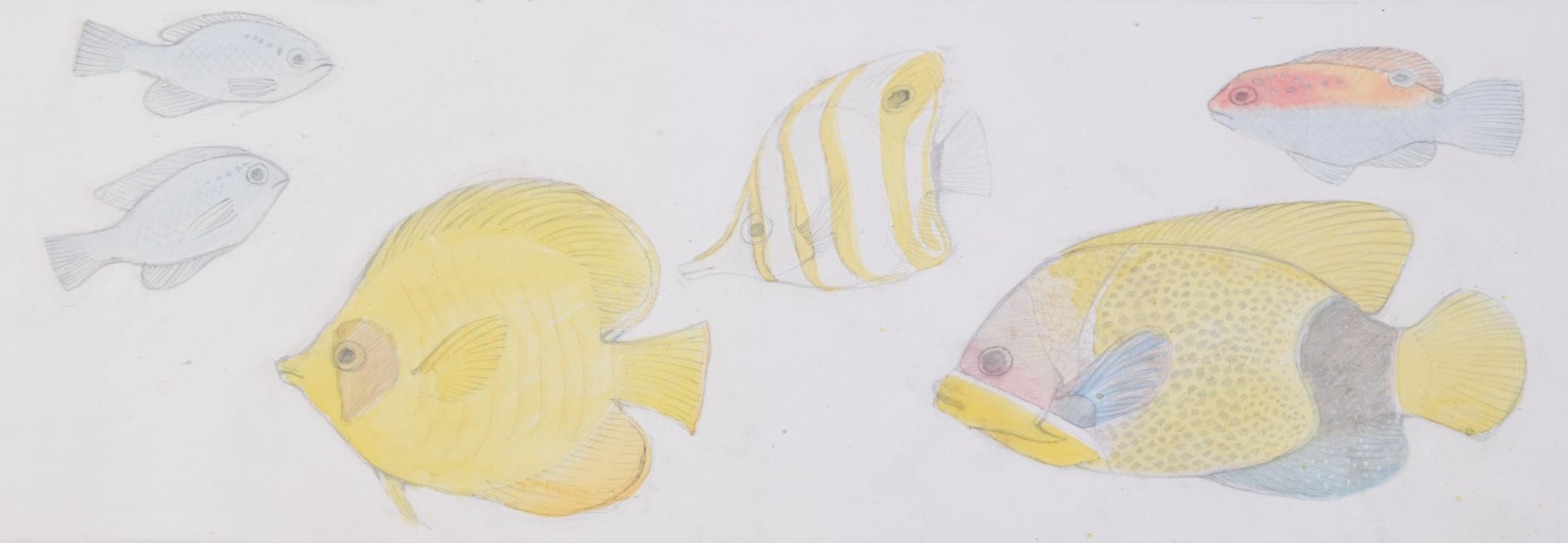 We acquired a series of watercolour stained glass designs from Jane Gray's studio. To find more scroll down to "More from this Seller" and below it click on "See all from this seller."   

Jane Gray (born 1931) 
Fish (1960) 
Pencil and