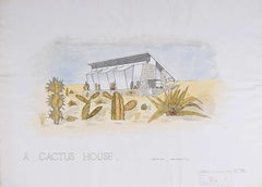 Vintage V A Hards: 'Design for A Cactus House ii' Mid Century architectural drawing