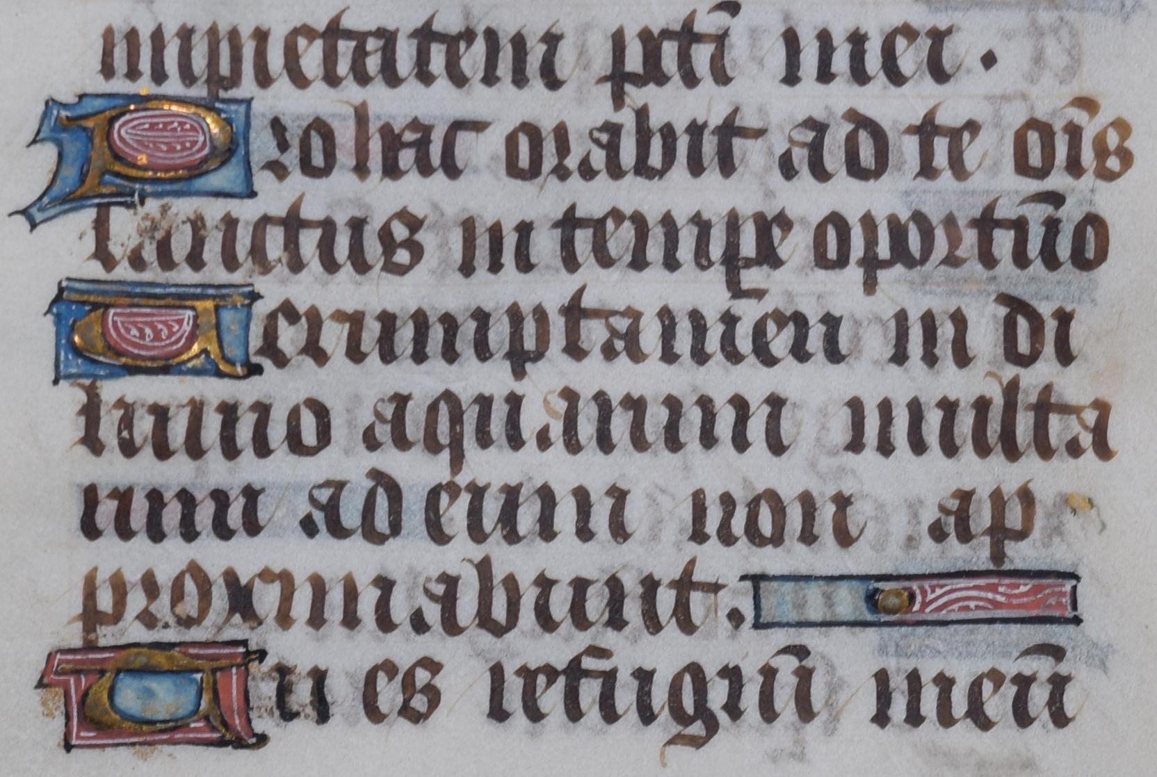 Illuminated psalter Psalm 31 manuscript For Sale 1