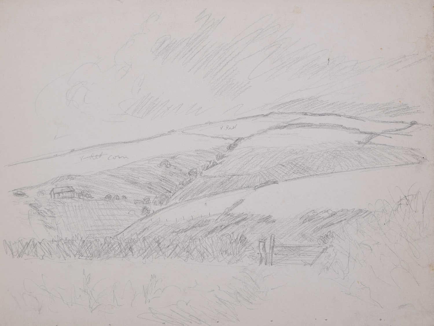 Field View in North Devon, pencil sketch by George Bissill