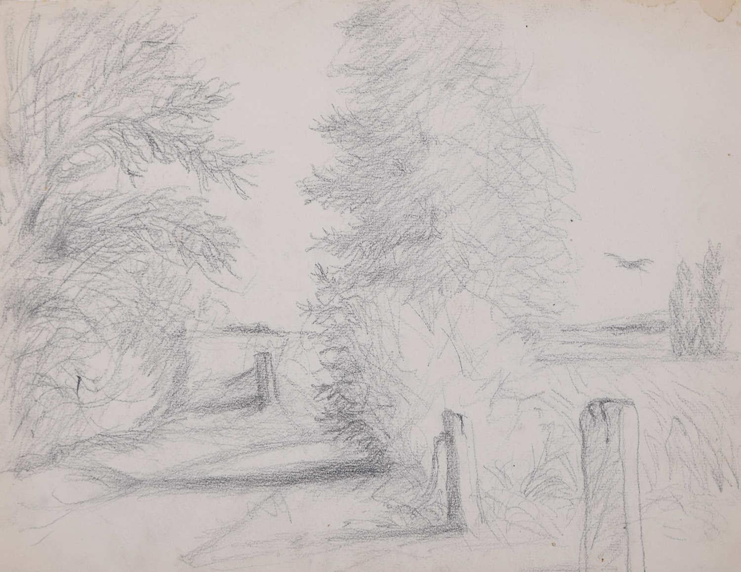 Country Lane with Bird of Prey, pencil sketch by George Bissill
