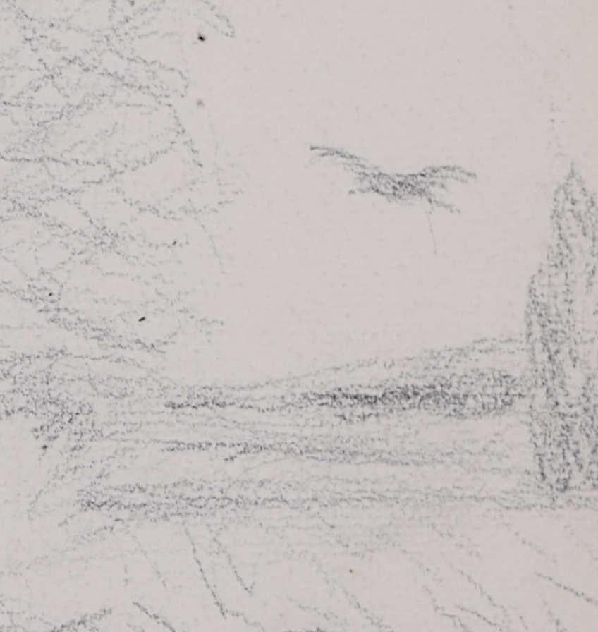 Country Lane with Bird of Prey, pencil sketch by George Bissill en venta 1