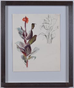 Vintage Rosemary Ellis flower painting 1950s Canna Lily gouache New Naturalists nature