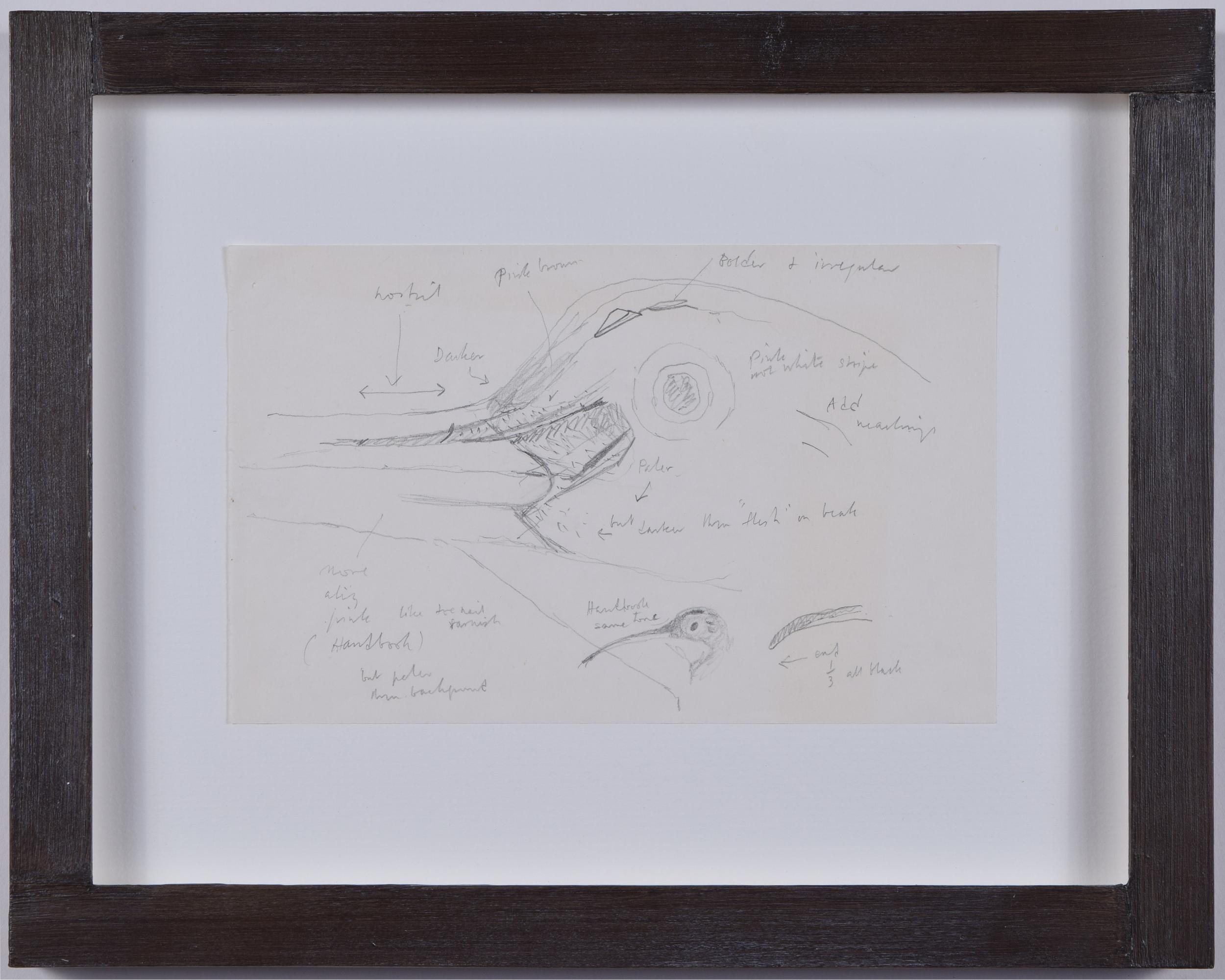 Clifford Ellis Schizzo a matita del chiurlo Mid Century Modern British Art Fauna selvatica in vendita 1